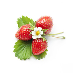 Strawberry with leaf  and floyers