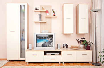 interior room furniture with shelve and TV set