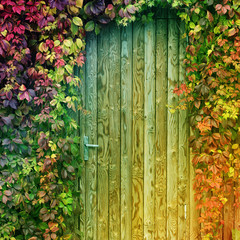 colorful door entrance