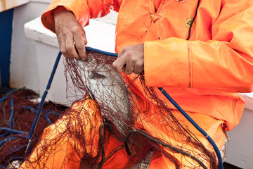 pesca con le reti