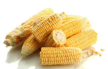 fresh corn, isolated on white