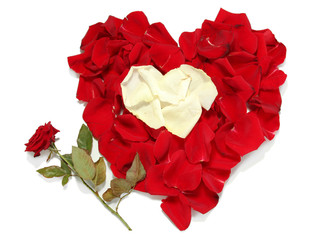 Beautiful heart of red and white rose petals with red rose