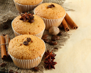 tasty muffin cakes