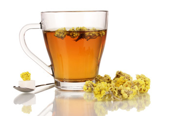 A cup of tea with immortelle isolated on white