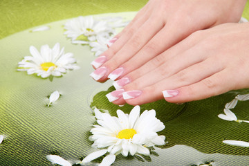 Woman hands with french manicure and flowers in green bowl with