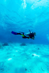 Silhouette of Scuba Diver near Sea Bottom