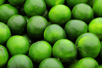 lime citrus fruit