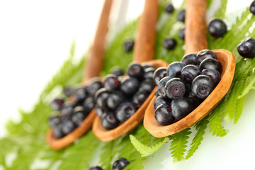 Tasty blueberries in wooden spoons on fern close-up