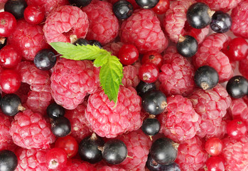 ripe berries with mint, close up.