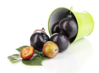 Rip plums in pail isolated on white