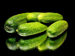 fresh organic cucumber