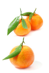 mandarine