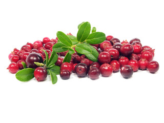 cranberries