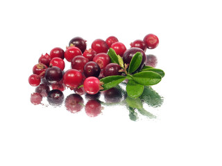fresh cranberries
