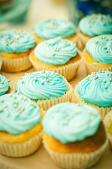 blue cupcaces