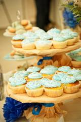 blue cupcakes on the dish