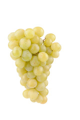 Branch of green grapes isolated on white