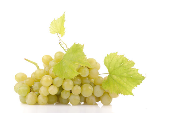 Branch of green grapes isolated on white