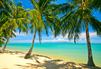 Tropical Beach Koh Samui