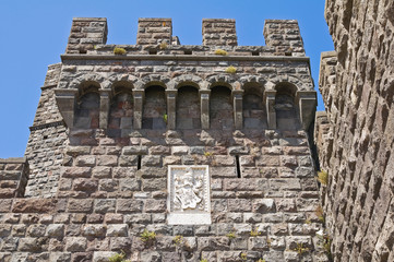 Castle of Torre Alfina. Lazio. Italy.