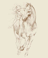 Fototapeta premium Koń i jeździec. Na podstawie rysunku Leonarda da Vinci
