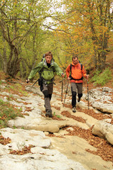 Naklejka premium Autumn walk.