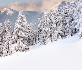 Beautiful winter landscape in the mountains