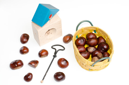 Kastanien mit Bastelutensilien