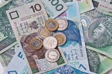Polish money, coins, banknotes, close-up