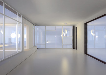 Luxuriöse leere Wohnung |  Design Interior Loft