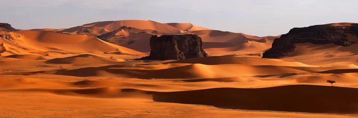 Rolgordijnen Panorama of desert © sunsinger