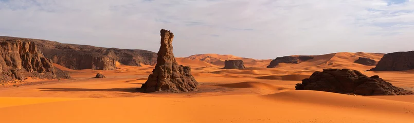 Deurstickers Algerije Panorama van zandduinen, Saharawoestijn