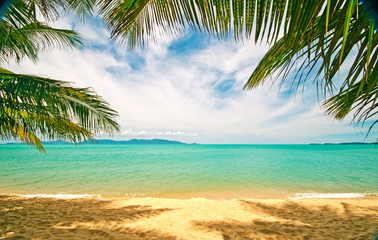 Fototapeta na wymiar Tropikalna plaża: Chaweng Beach na wyspie Koh Samui