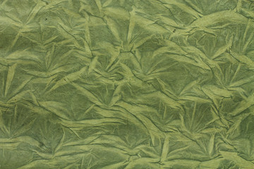 Grünes Papier mit Pflanzen Textur