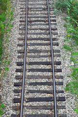 Obraz premium Old railway track on gravel in bushes.