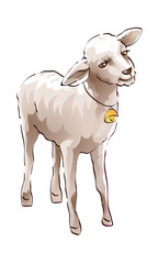 icon sheep