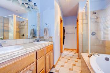 Blue large bathroom with tub and shower.