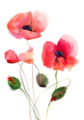 Obrazy  Ilustracja stylizowane kwiaty maku
