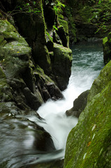 Obraz premium 渓谷を流れる沢