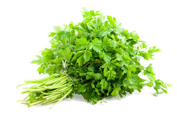 Parsley. isolate