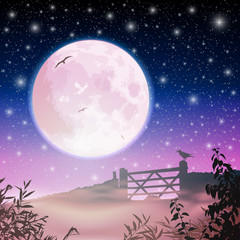 Moon and Night Sky