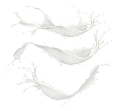 Milk splashes collection, isolated on white background