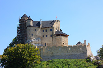 Fototapeta na wymiar Castle Mir