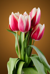 tulips. bouquet of red flowers.