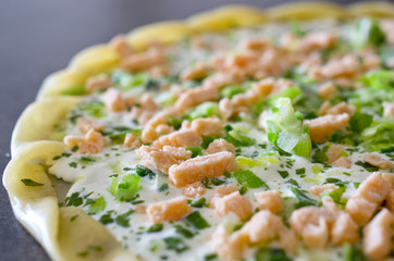 Tarte saumon poireaux