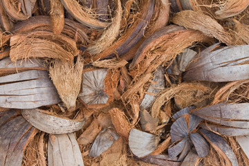 Background of the many spathe.