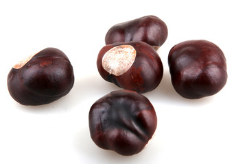 chestnuts