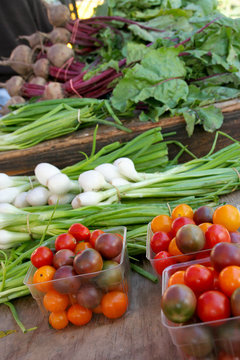 Fresh vegetables on display at a fall farmers market