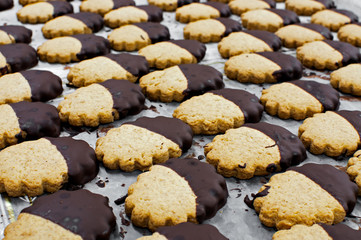 Spelt biscuits with chocolate