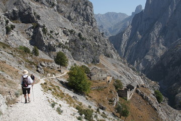 Fototapeta na wymiar Hiking Picos de Europa